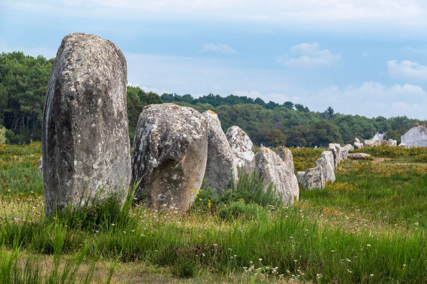 Carnac stones
