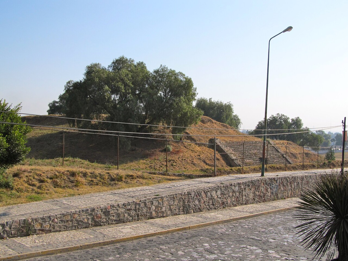 Cholula