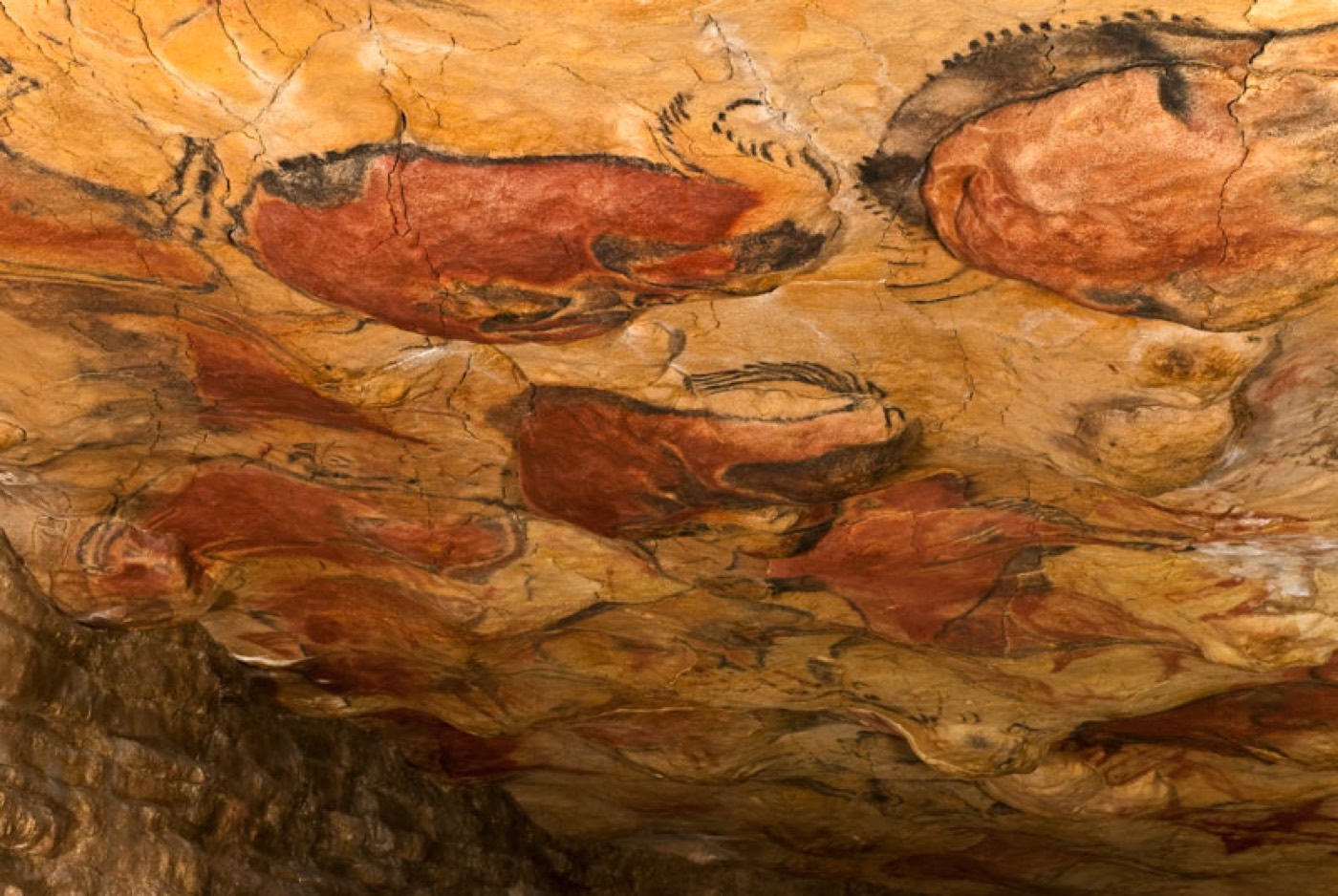 Cave of Altamira