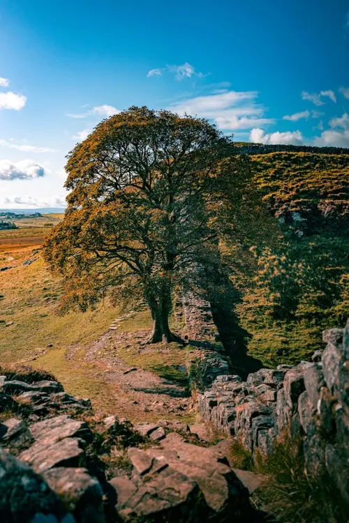 Hadrian's Wall
