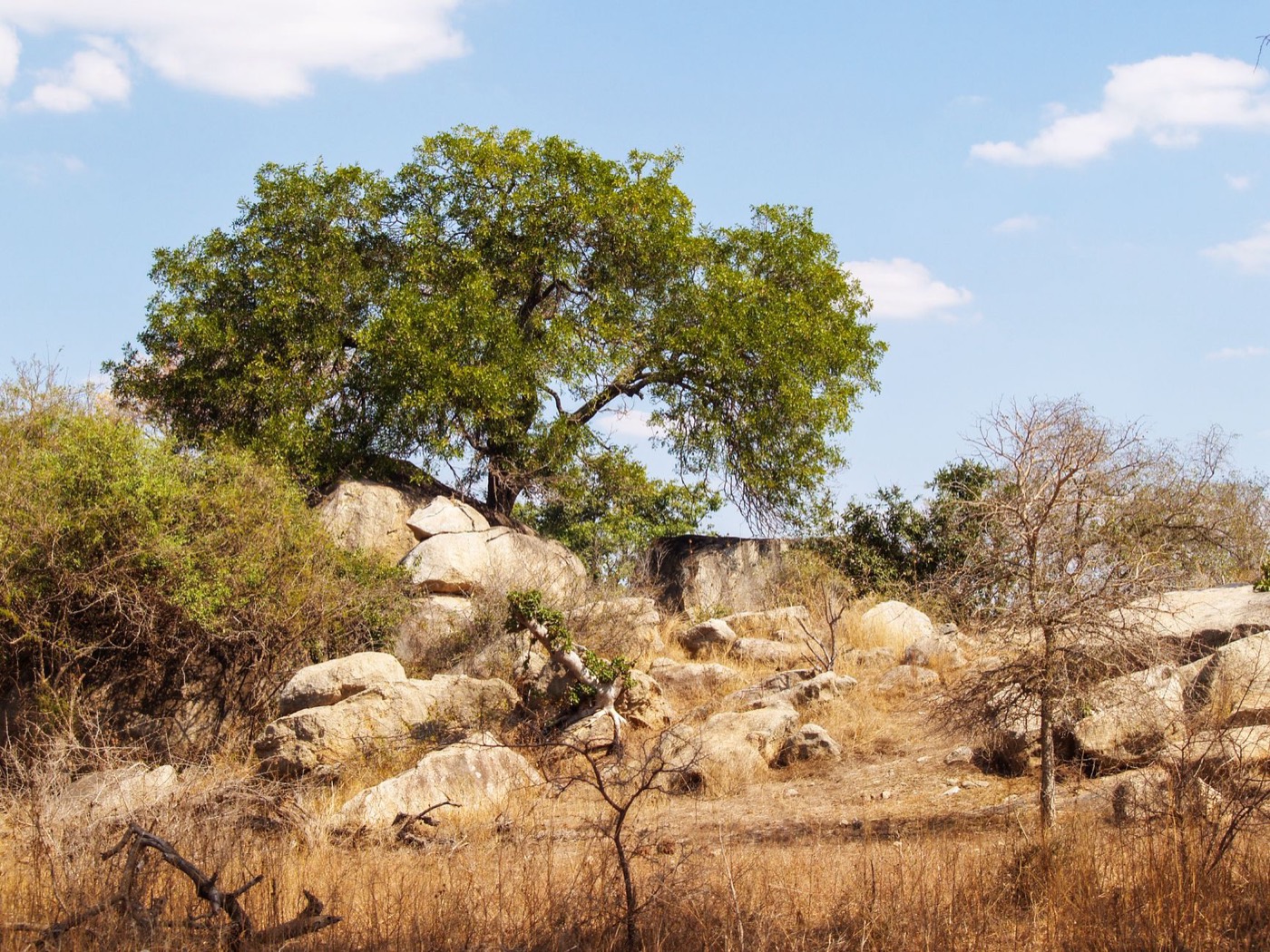 Kingdom of Mapungubwe