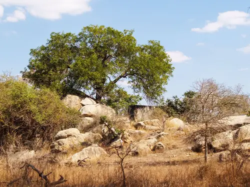 Kingdom of Mapungubwe