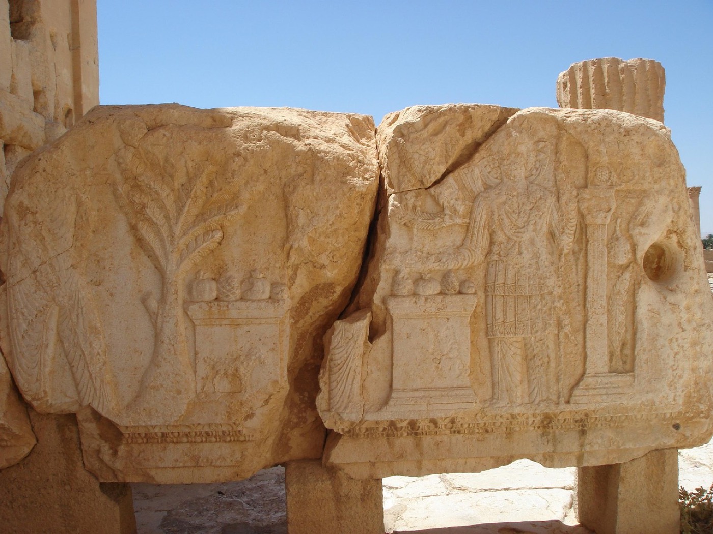 Palmyra