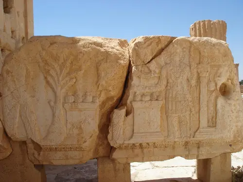 Palmyra