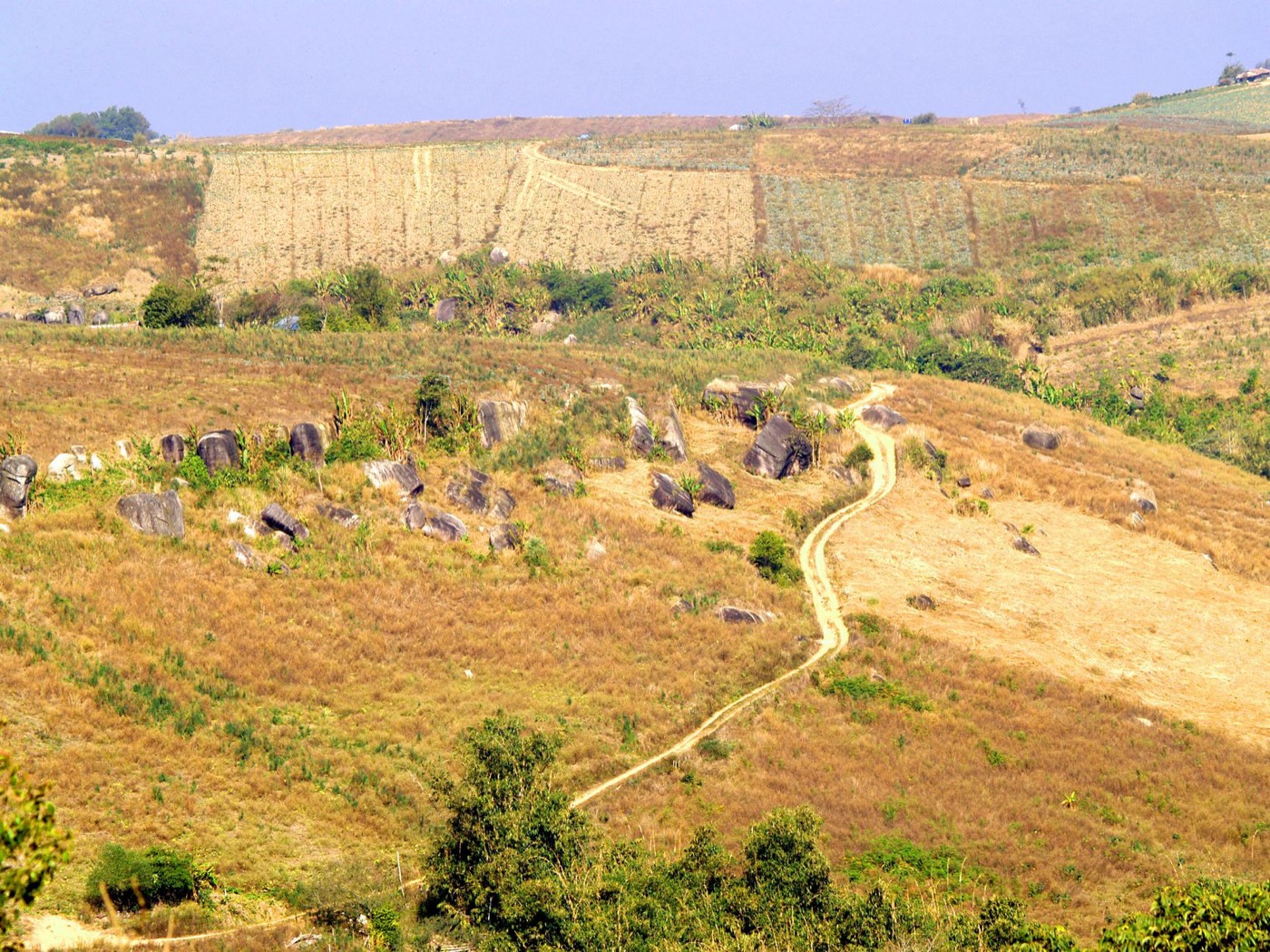 Plain of Jars
