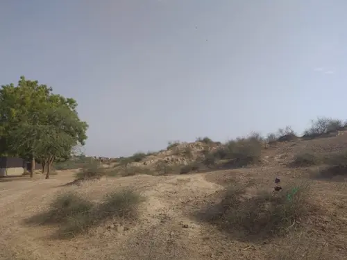 Rakhigarhi